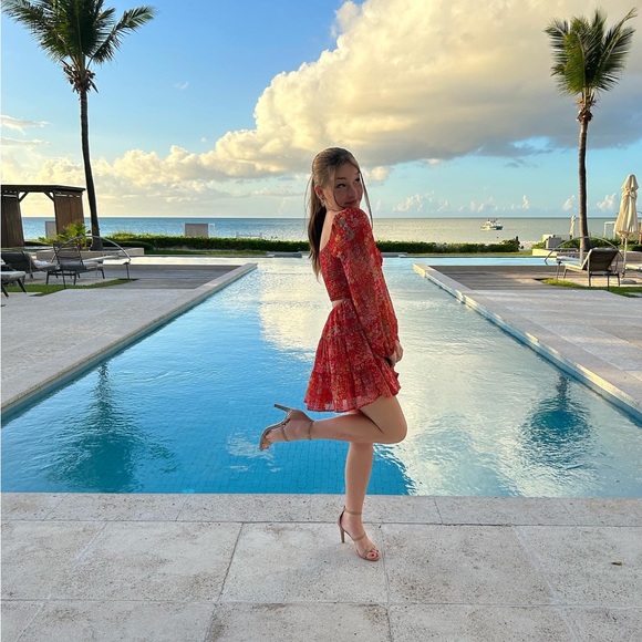 Meet your Posher, Savannah - Picture 1 of 1